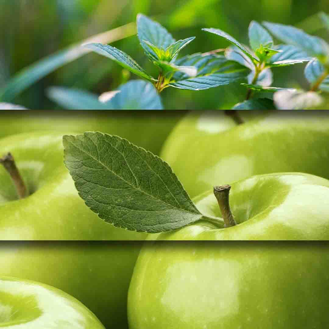Apple-Mint