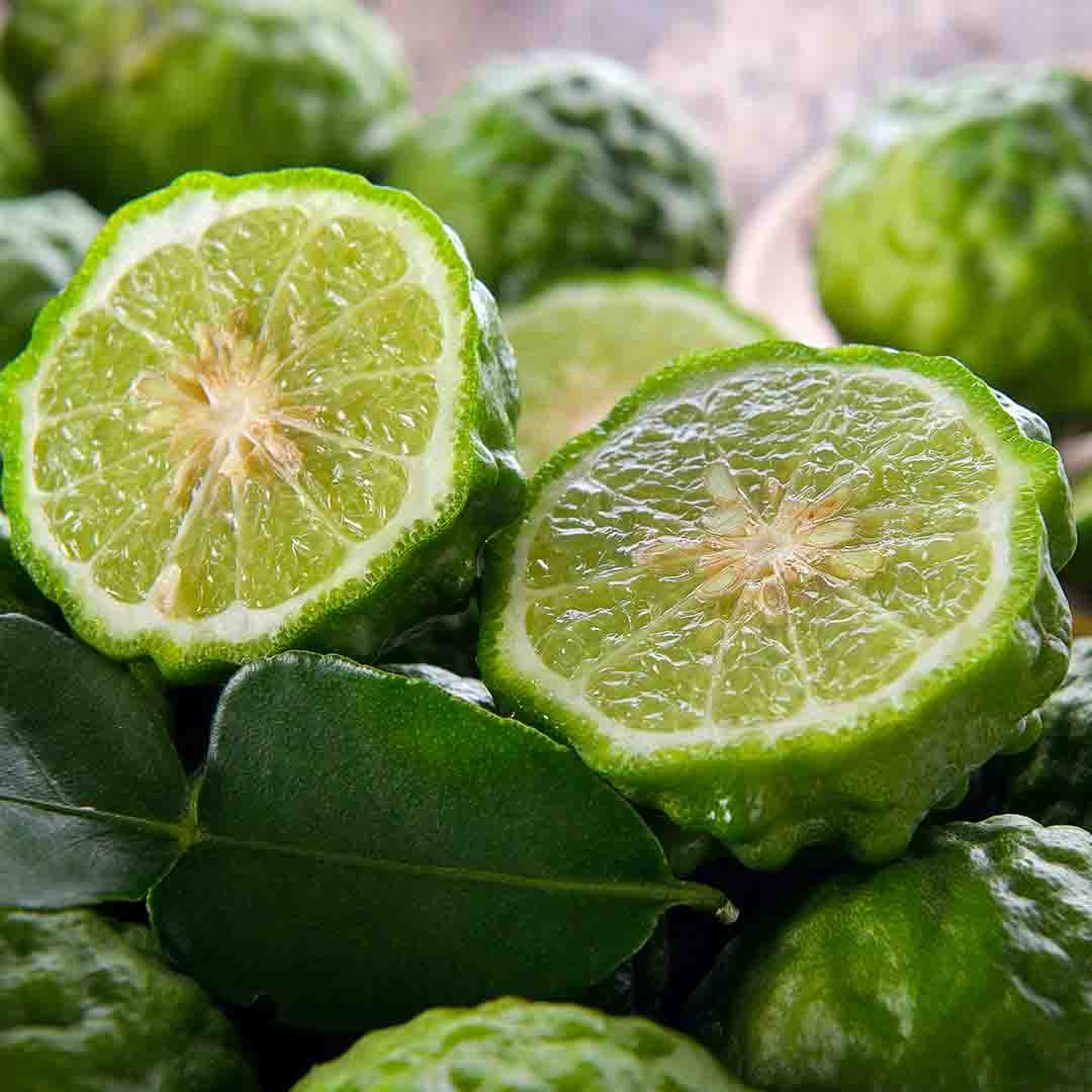 Bergamot