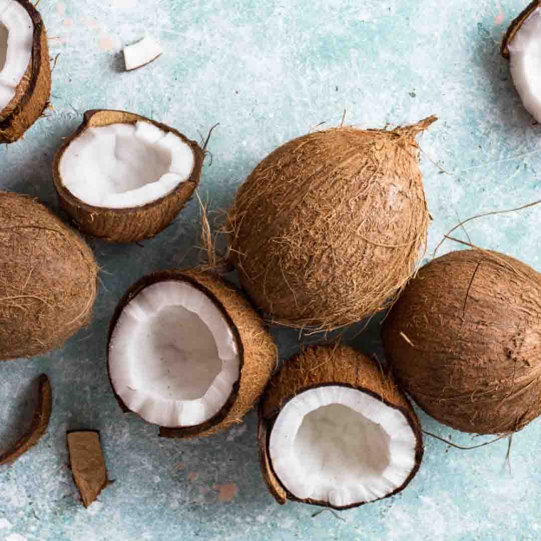 Coconut