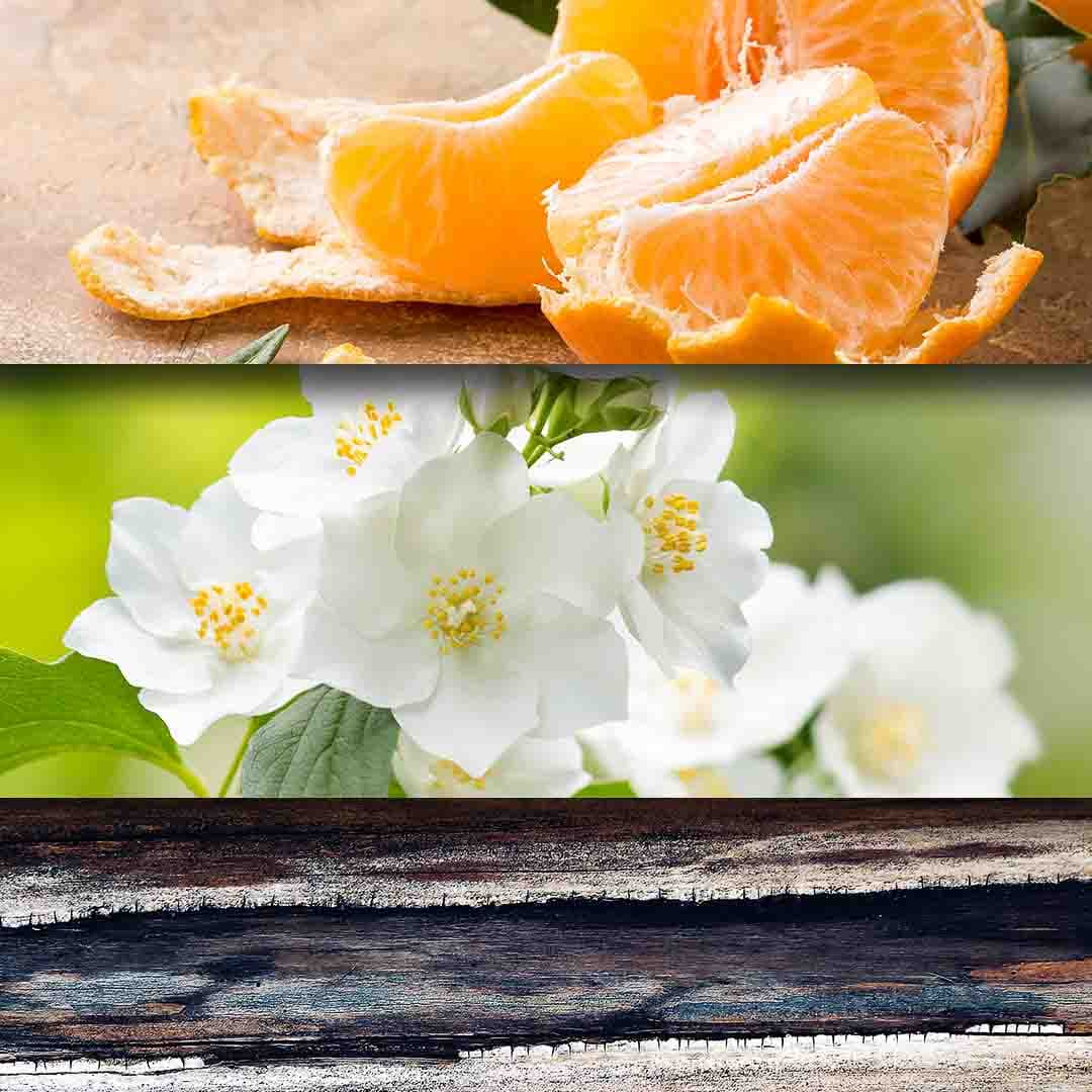 Jasmine Blossom