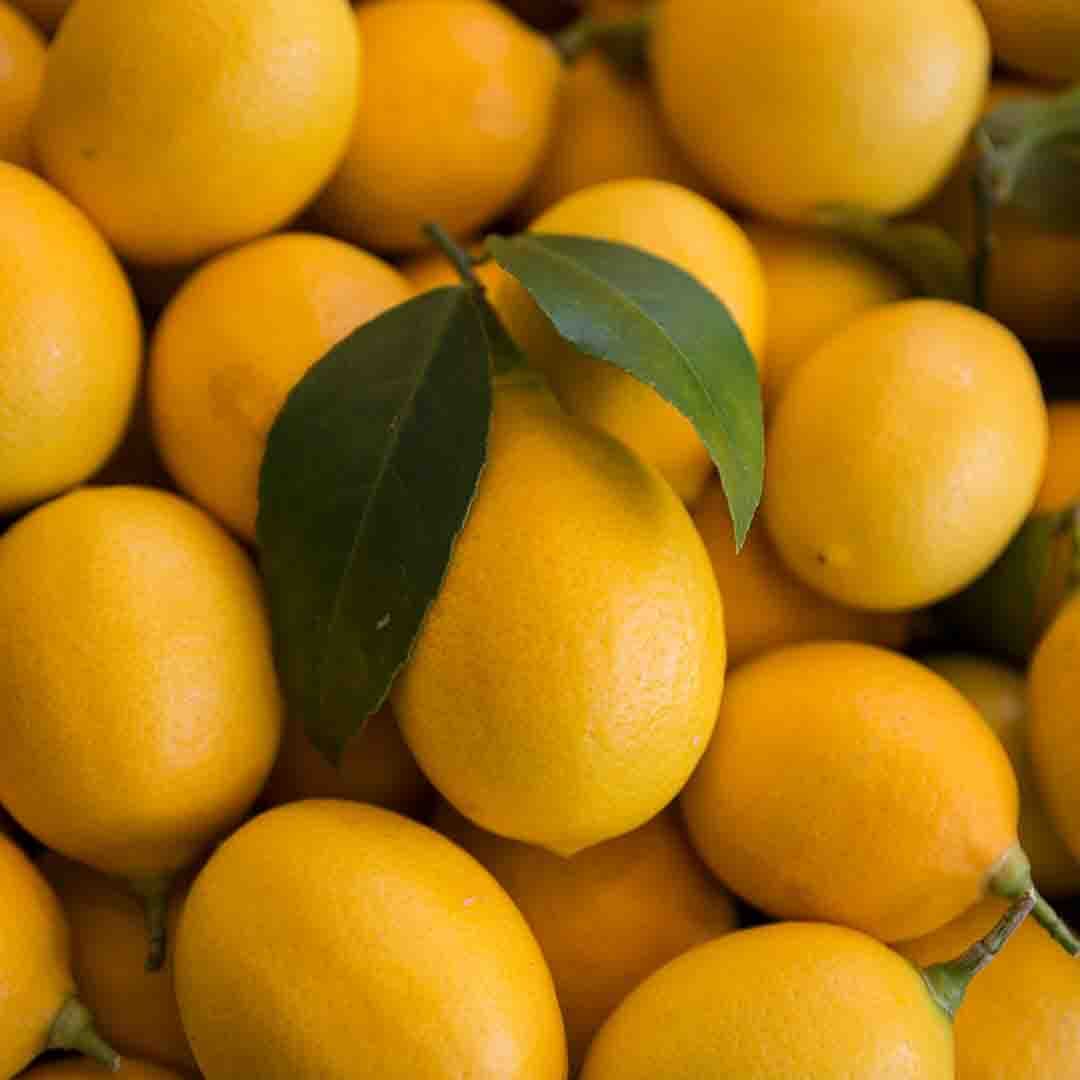 Lemon Oil