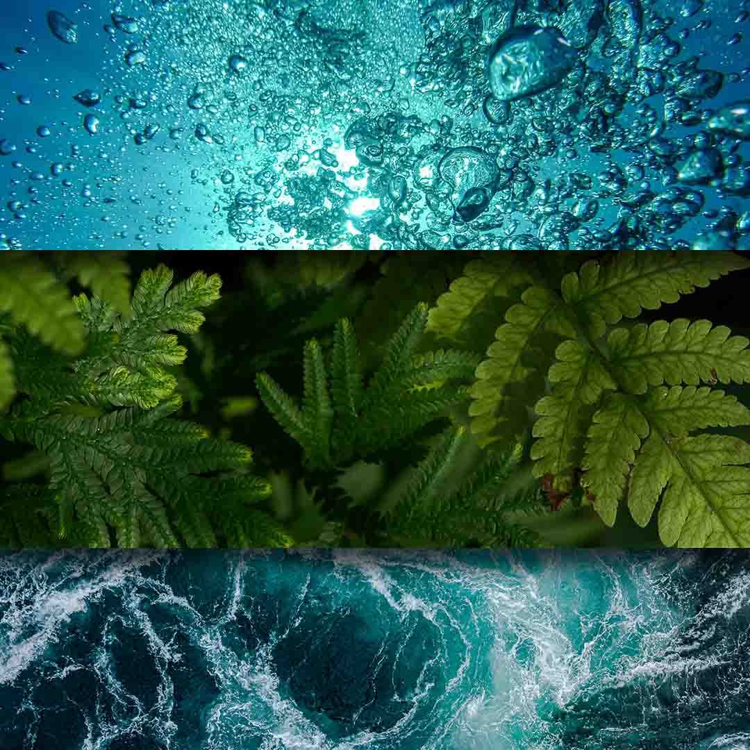 North Sea