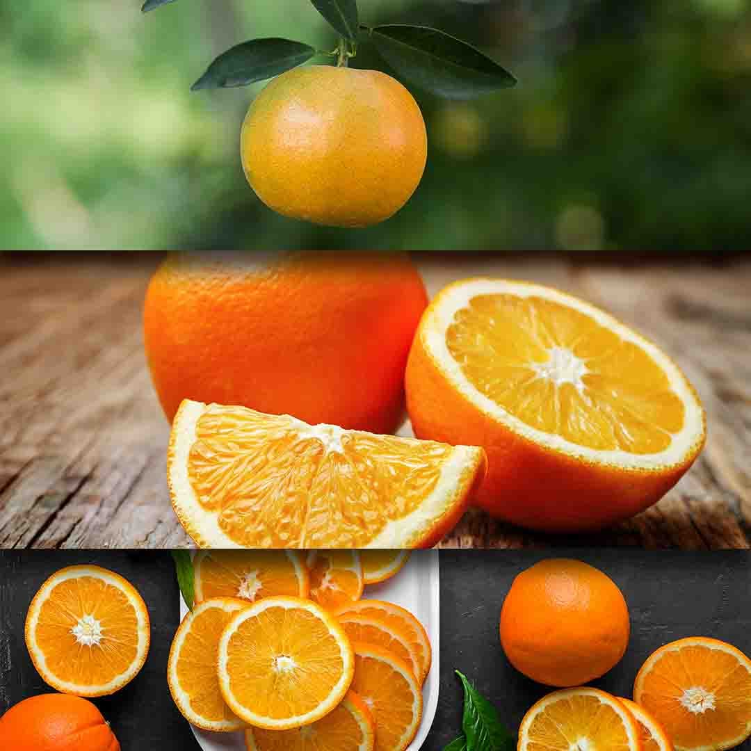 Orange-Brazil