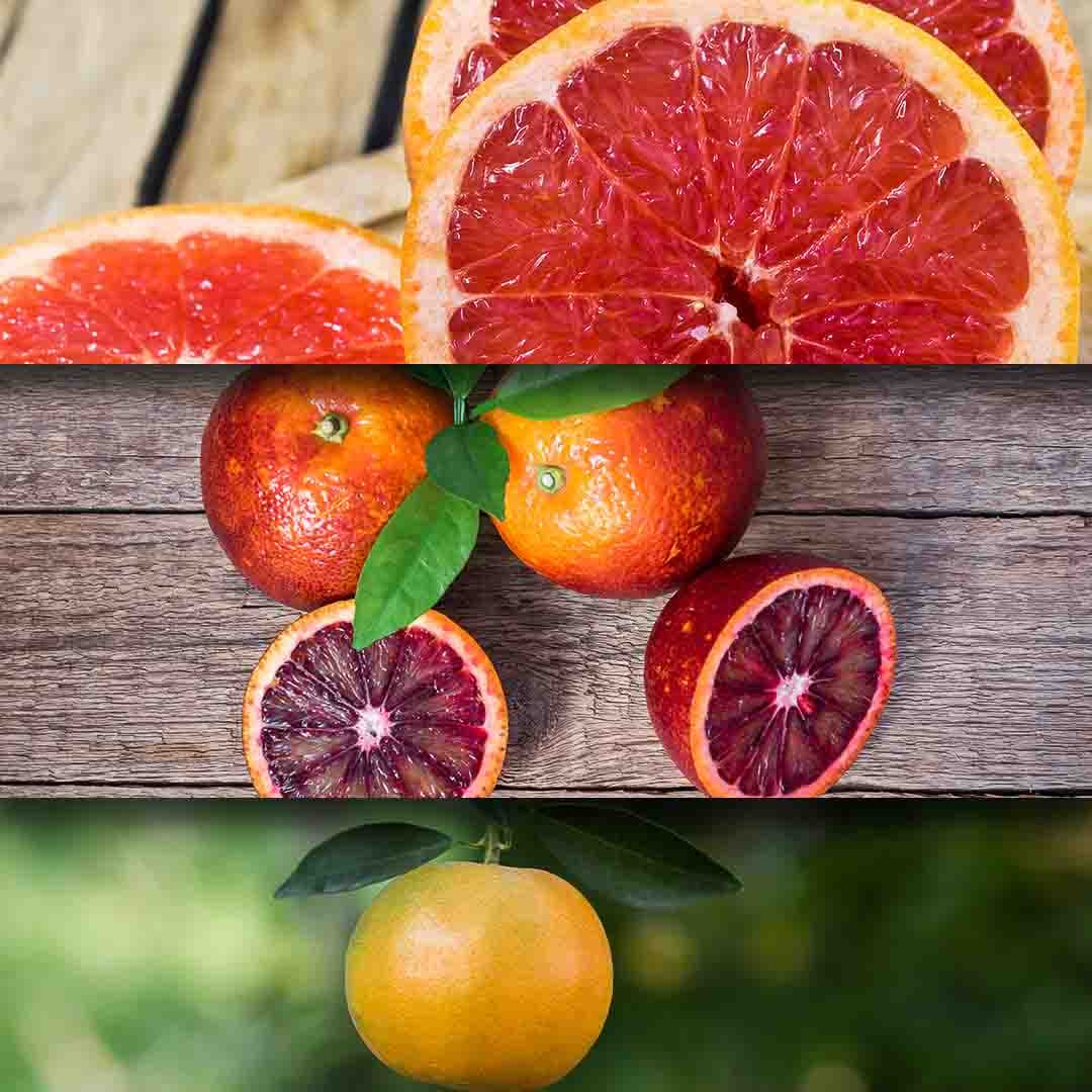 Orange-Grapefruit