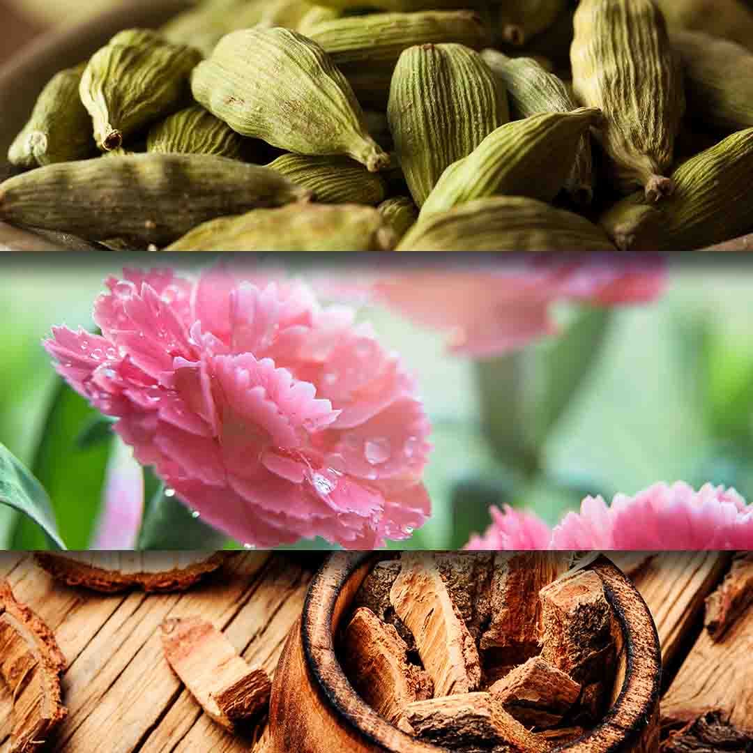 Oriental Wood