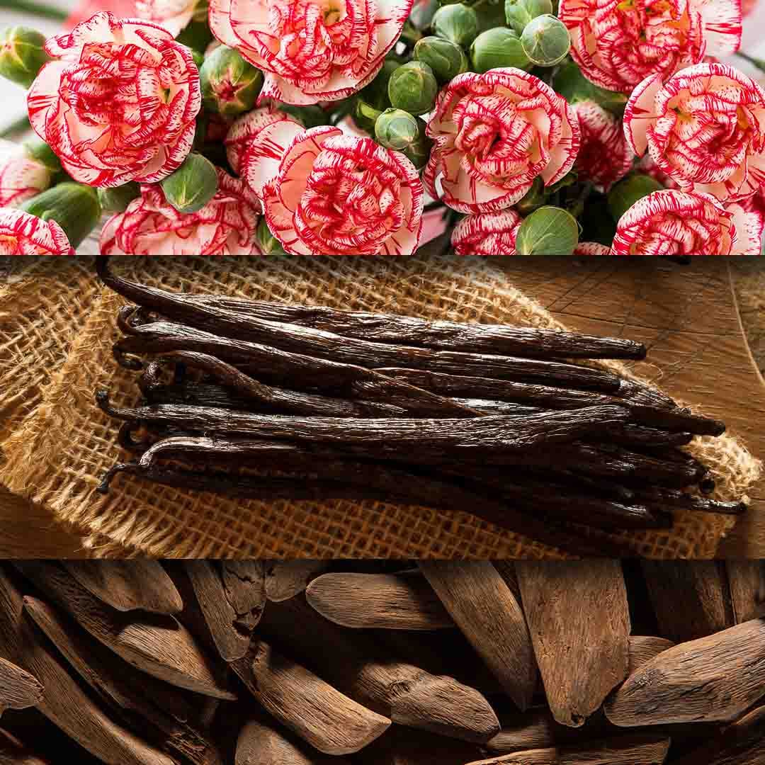 Oudh Omar