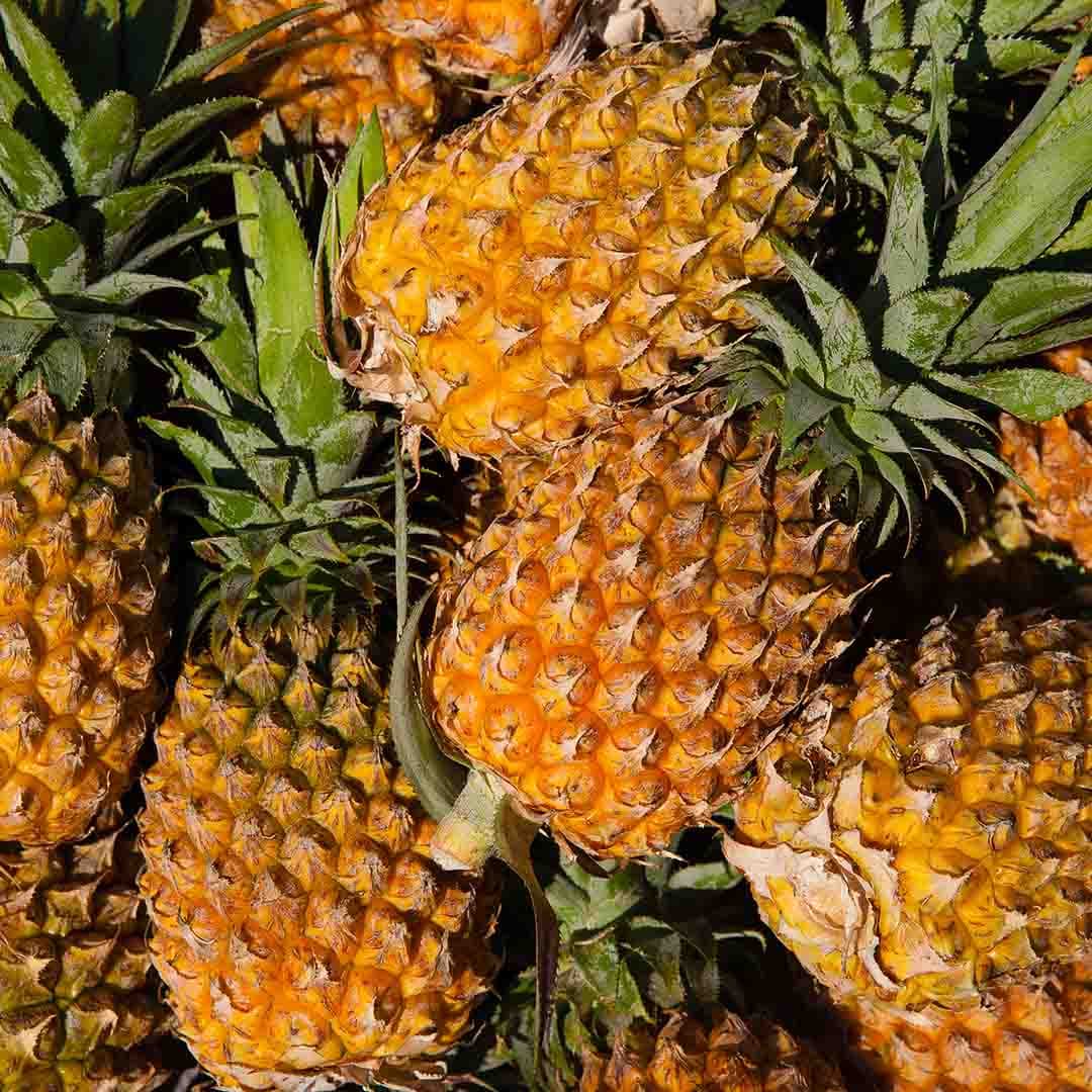 Pineapple