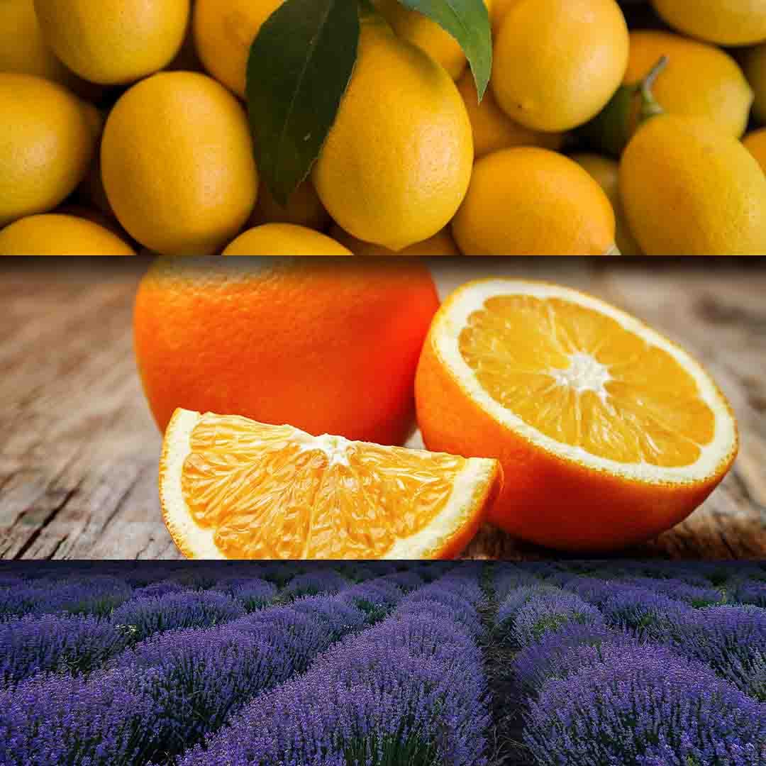 Pure Harmony