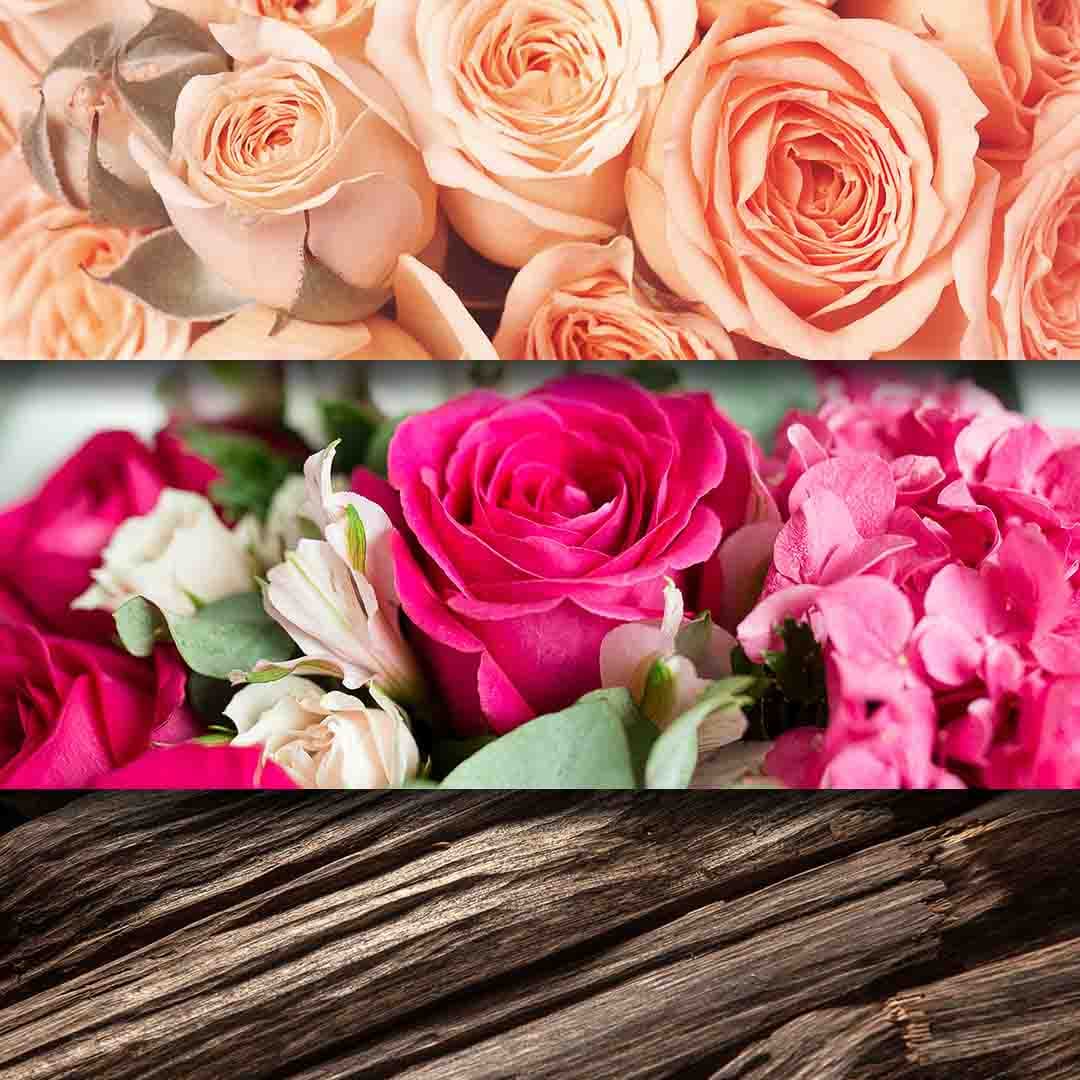 Rose Garden