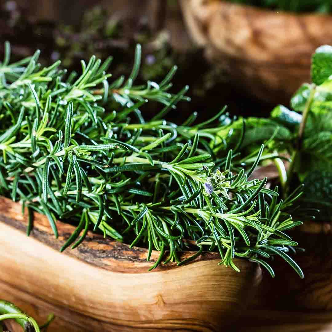 Rosemary Oil