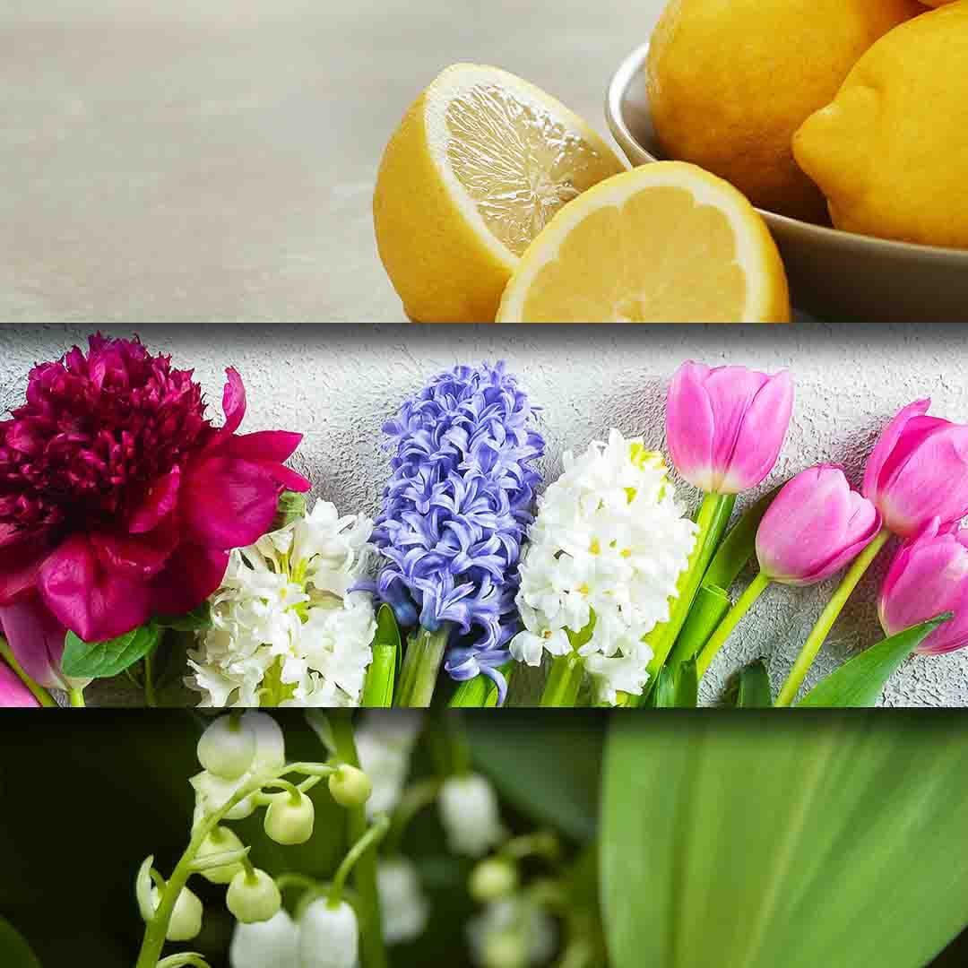 Spring Romance