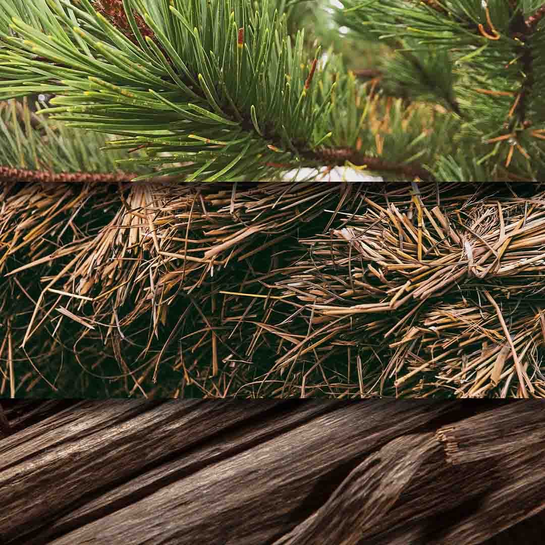 Wood